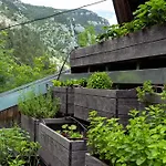 La Forestale Luxury - La Royale 3*