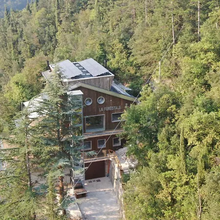 La Forestale Luxury - La Royale