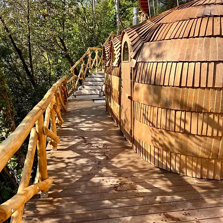 Bed and breakfast La Forestale Luxury - La Royale