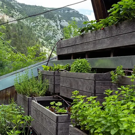 La Forestale Luxury - La Royale 4*