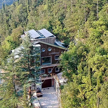 Bed & Breakfast La Forestale Luxury - La Royale 3*