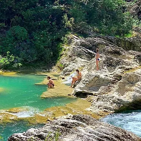 La Forestale Luxury - La Royale