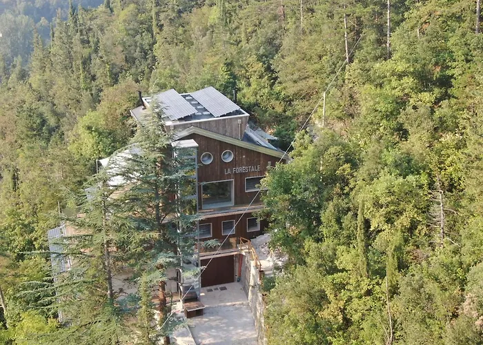 La Forestale Luxury - La Royale