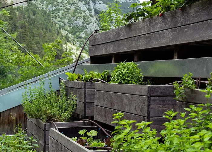 La Forestale Luxury - La Royale 4*